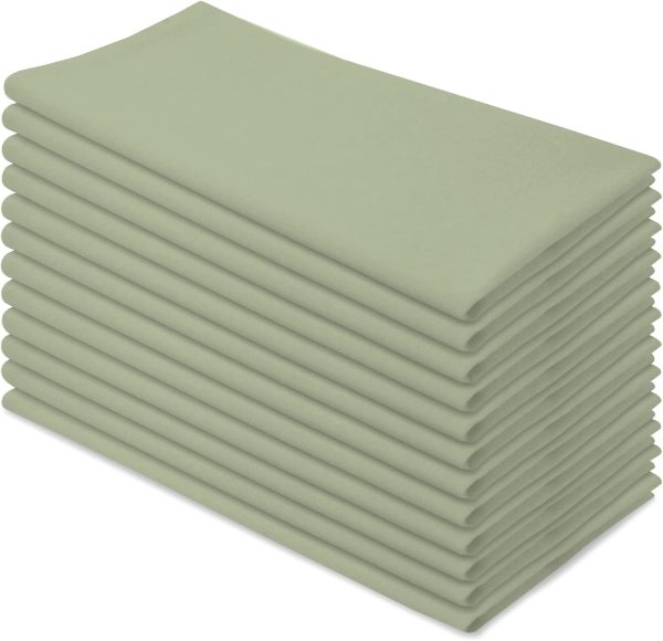 Aunti Em's Kitchen Truly Wrinkle Free Dinner Napkins, Restaurant Quality, Oversized 20 x 20 Inches | Set of 12 (Sage Green)