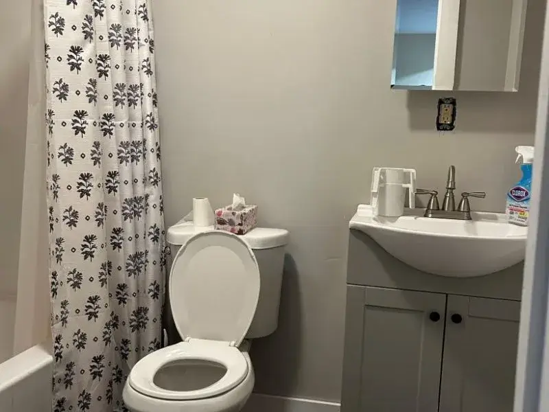 Hasbrouck-3bdrm-Cabin-bathroom-800×600.jpg