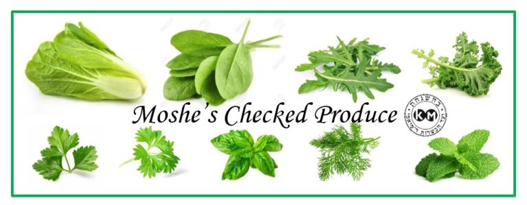 Moshe’s Checked Produce- Rabbi Kaufman