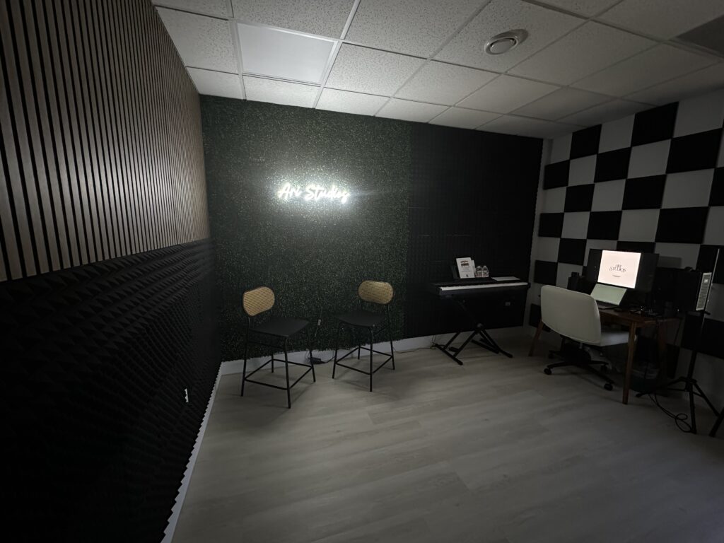Ari Studios – Artist Development by Noa Danay