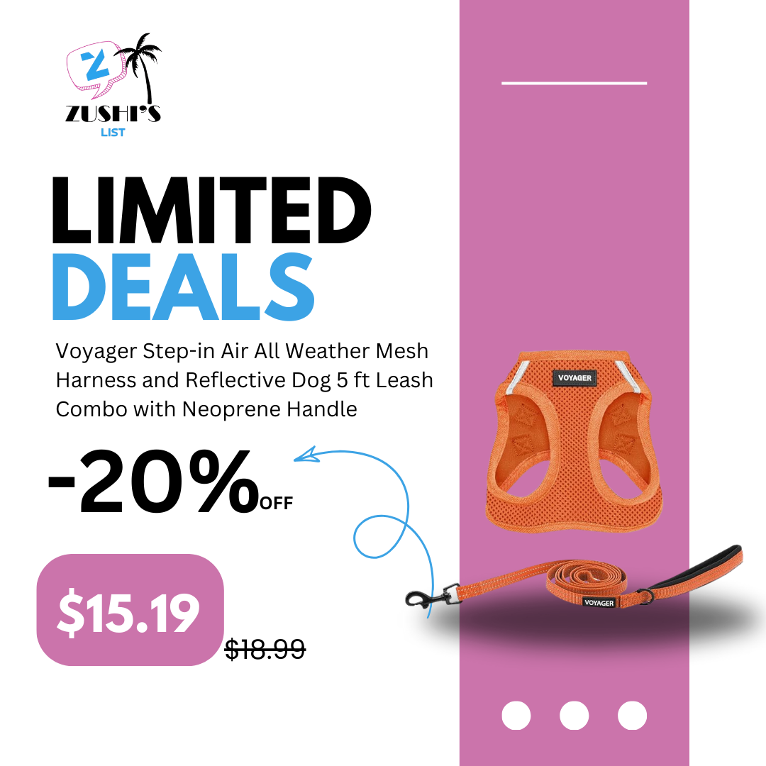 Voyager Step-in Air All Weather Mesh Harness and Reflective Dog 5 ft Leash Combo with Neoprene Handle, for Small, Medium and Large Breed Puppies by Best Pet Supplies - Set (Orange), S