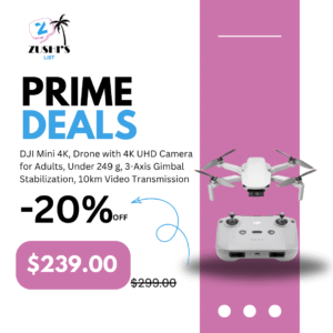 DJI Mini 4K, Drone with 4K UHD Camera for Adults, Under 249 g, 3-Axis Gimbal Stabilization, 10km Video Transmission, Auto Return, Wind Resistance, 1 Battery for 31-Min Max Flight Time, Intelligent Flight