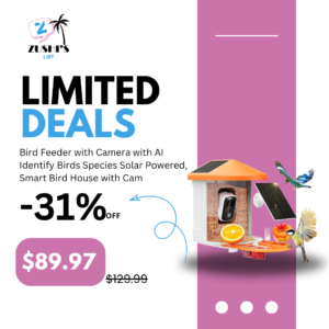 Bird Feeder