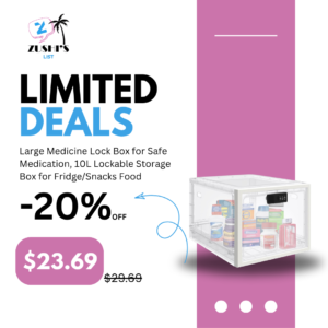 Large Medicine Lock Box